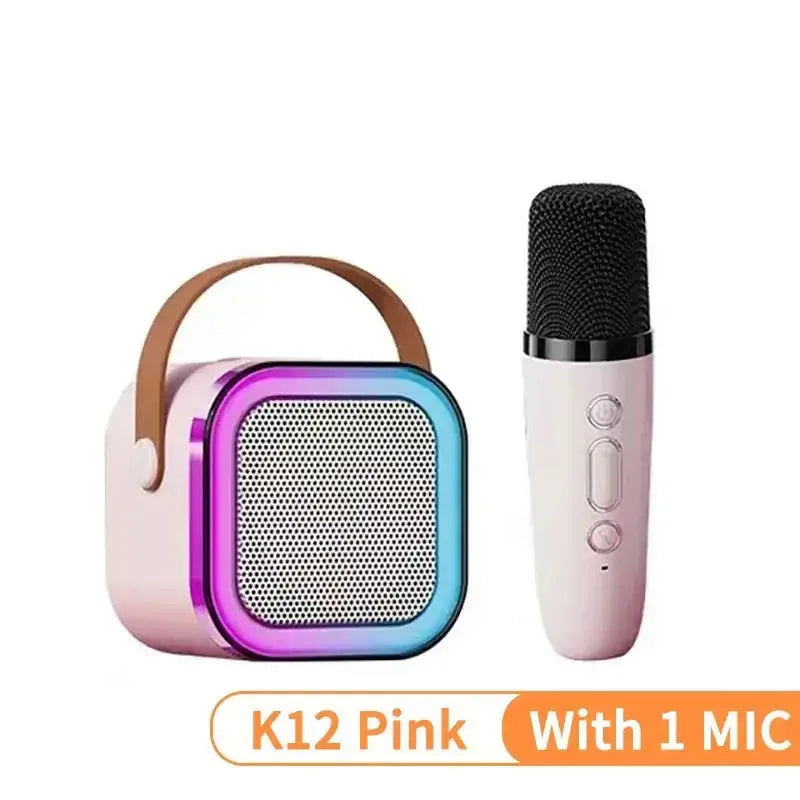 Car karaoke machine with 1/2 microphones