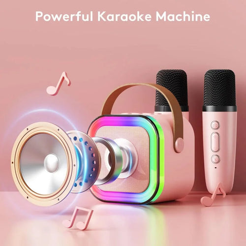 Car karaoke machine with 1/2 microphones